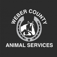 Animal Services Logo